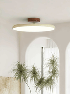 Verstellbare LED Deckenleuchte mit Schwenkbarem Spotdesign