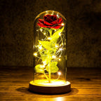 GlanzBlume LED rosenkugle under glaskuppel, dekorativ gave