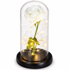 GlanzBlume LED rosenkugle under glaskuppel, dekorativ gave