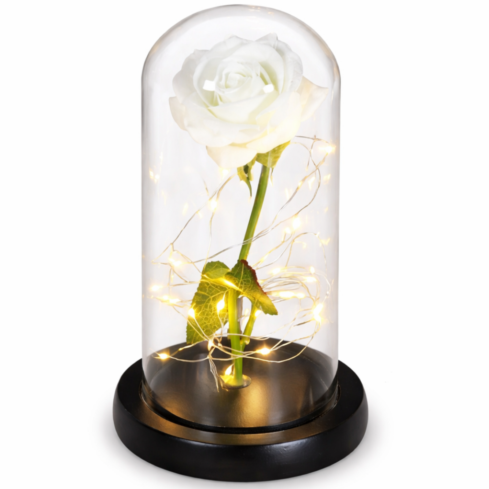 GlanzBlume LED rosenkugle under glaskuppel, dekorativ gave