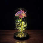 Rosenglanz LED Dekorationsrose unter Glasglocke Geschenkidee