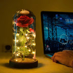 GlanzBlume LED rosenkugle under glaskuppel, dekorativ gave