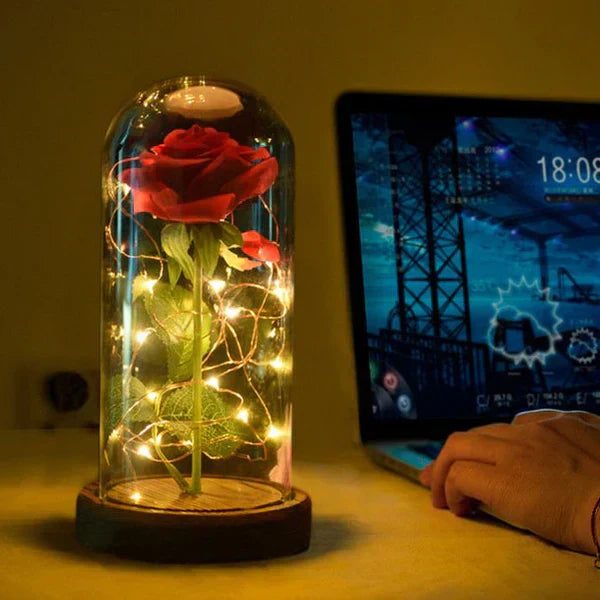 Rosenglanz LED Dekorationsrose unter Glasglocke Geschenkidee