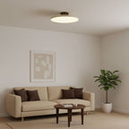 Verstellbare LED Deckenleuchte mit Schwenkbarem Spotdesign