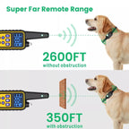CaniControl Trainingshalsband für Hunde