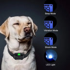 CaniControl Trainingshalsband für Hunde