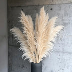 NaturPampas tørret dekorationsgræs boho stil 110 cm