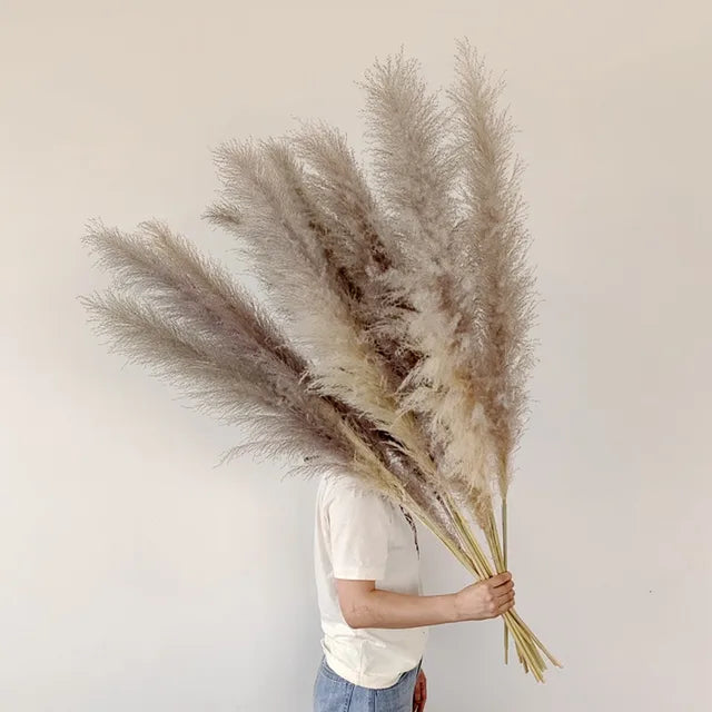 NaturPampas Deko Gras Getrocknet Boho Stil 110cm