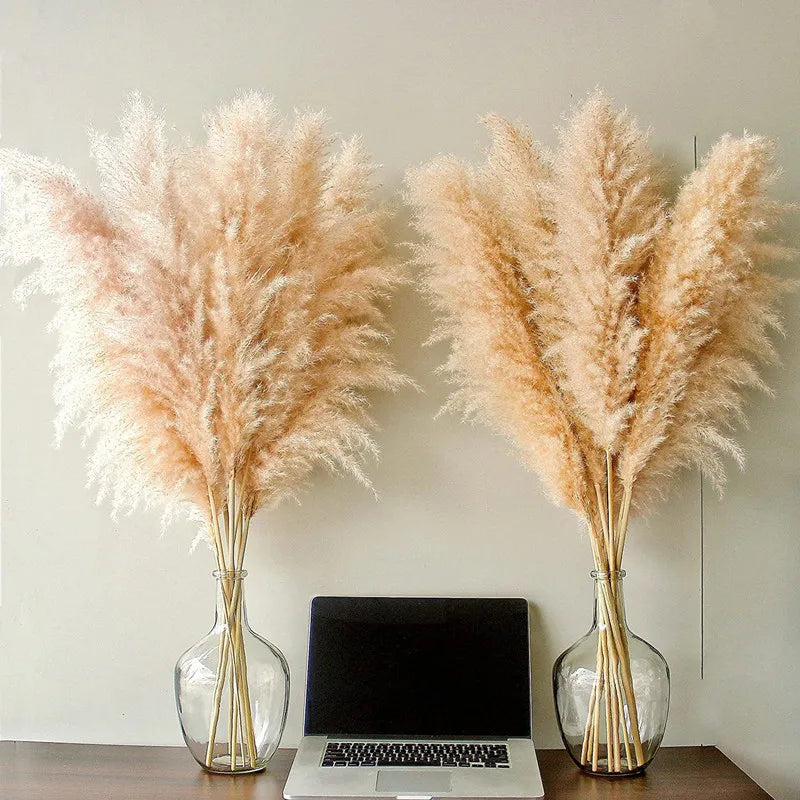 NaturPampas tørret dekorationsgræs boho stil 110 cm
