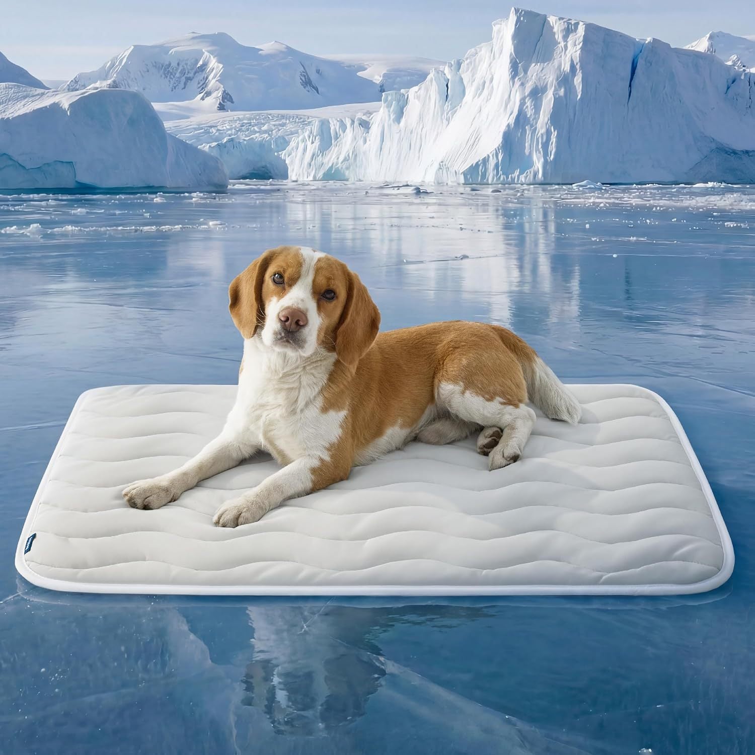 ComfortNest Orthopädisches Hundebett
