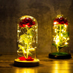 GlanzBlume LED rosenkugle under glaskuppel, dekorativ gave