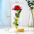 GlanzBlume LED rosenkugle under glaskuppel, dekorativ gave