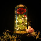 Rosenglanz LED Dekorationsrose unter Glasglocke Geschenkidee