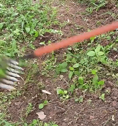 GartenPro Bodenrechen – Kohlenstahl Unkrautrechen für Gartenarbeit