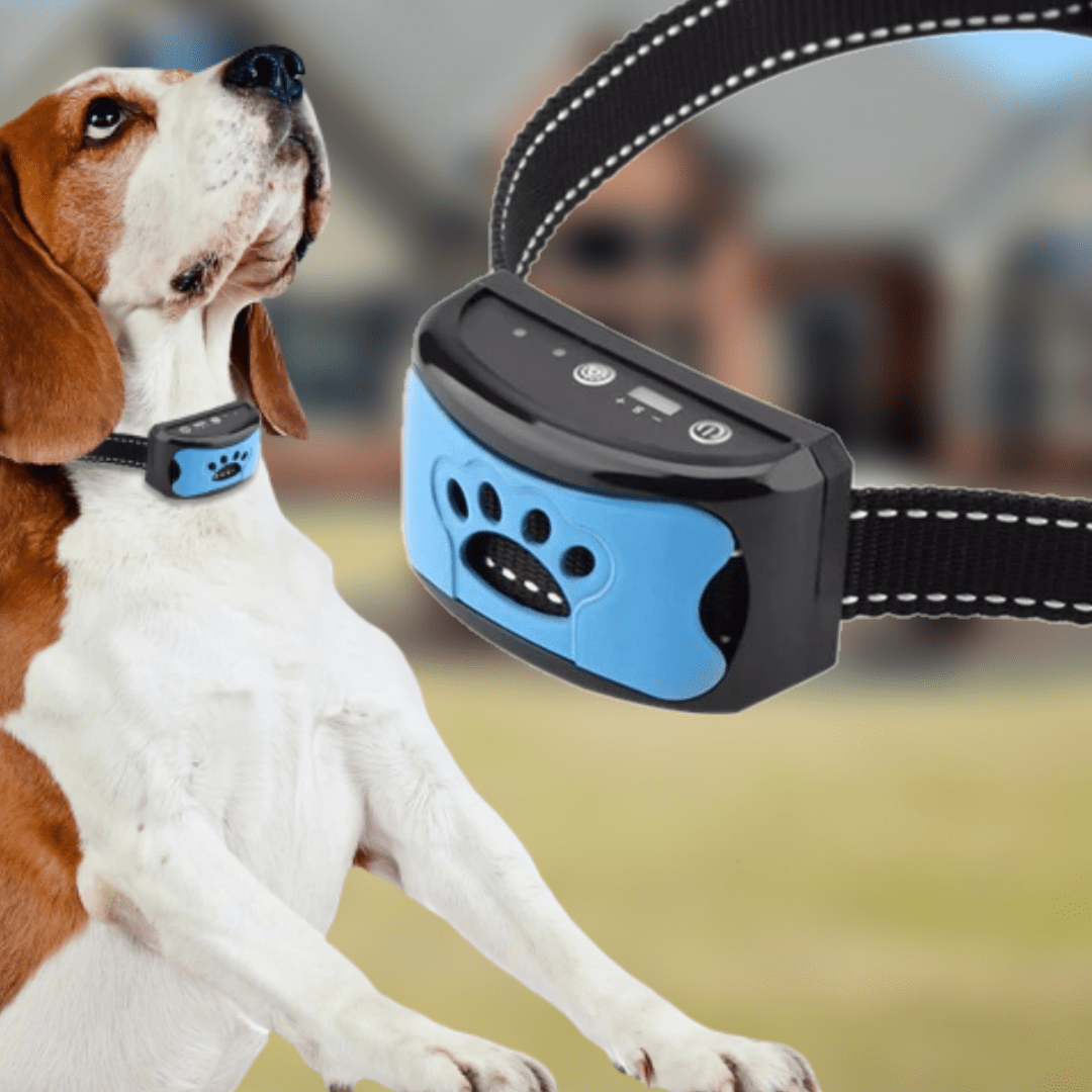BellControl Hundehalsband mit Ultraschall und Vibrationsfunktion